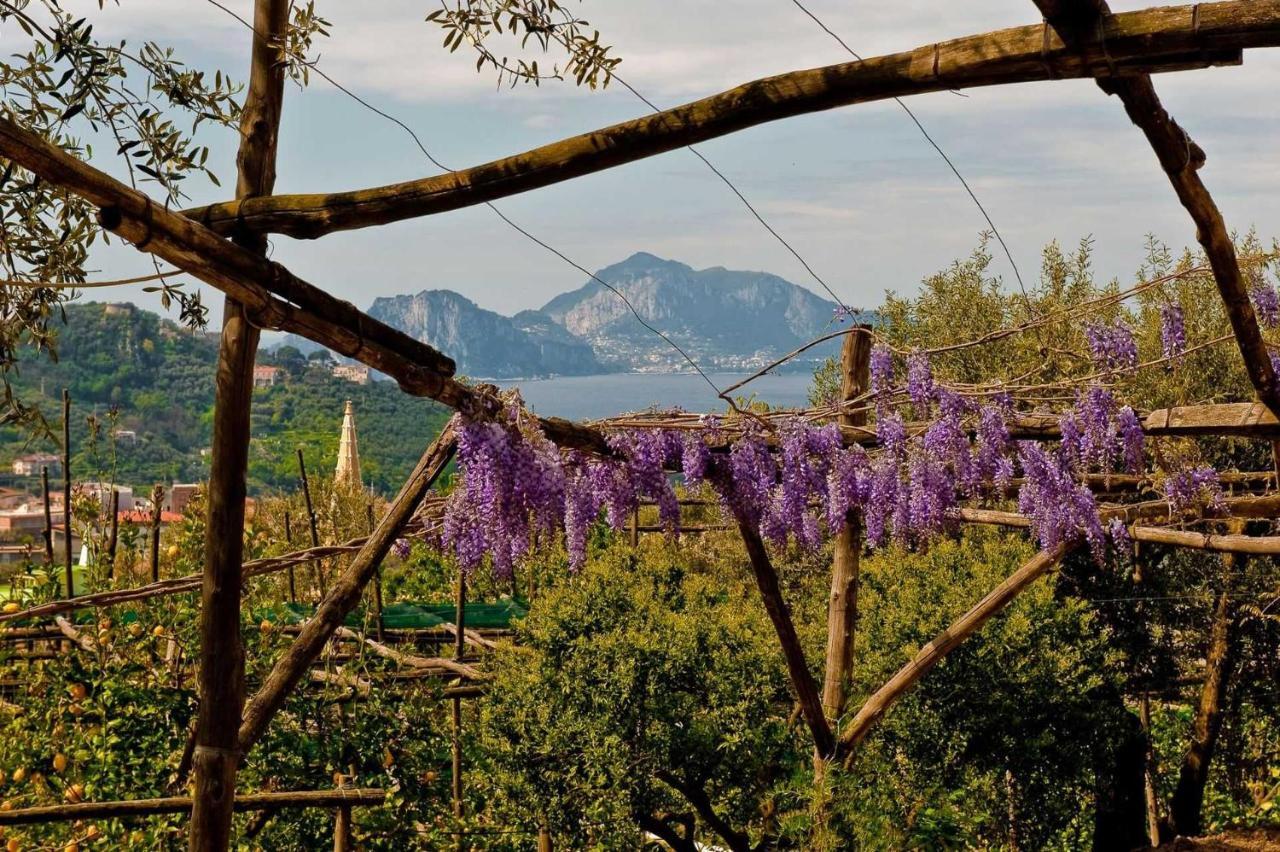 Villa Romantica Massa Lubrense Buitenkant foto